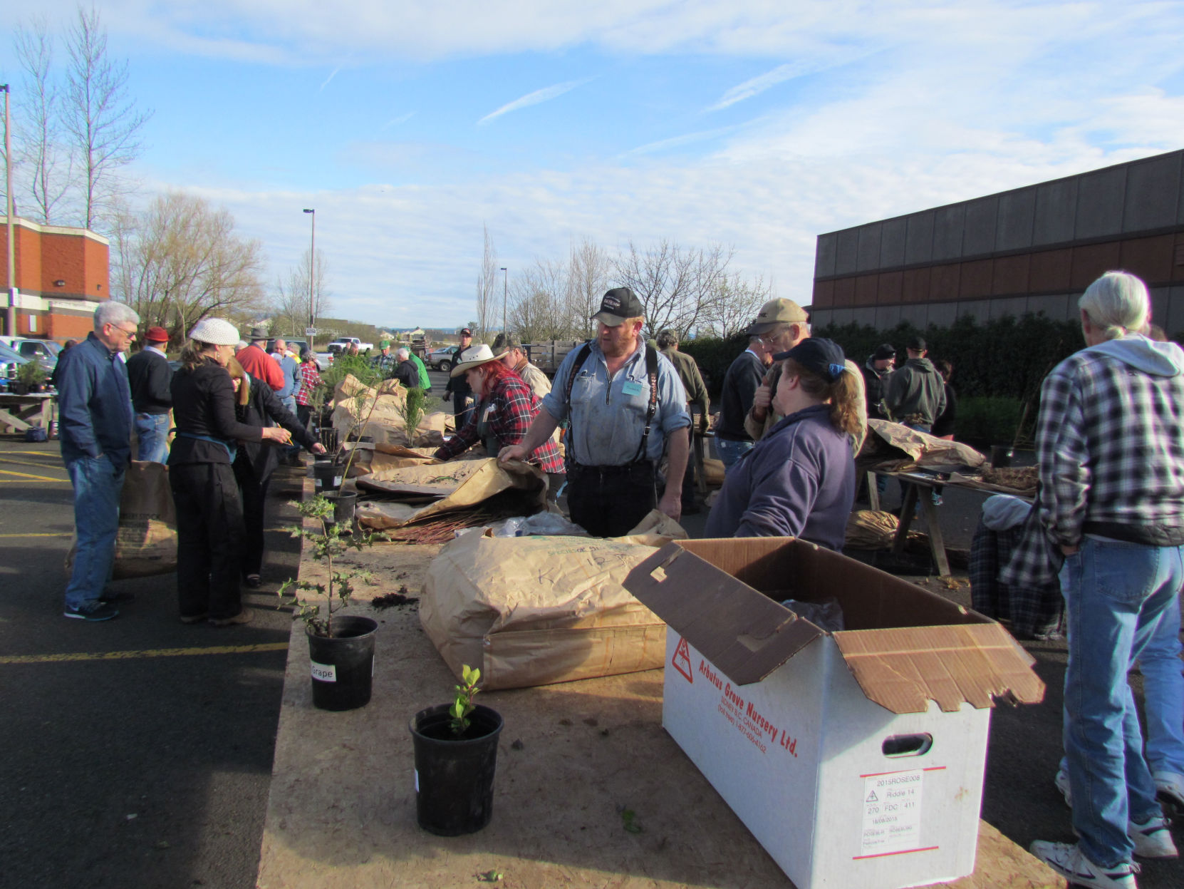 Tree sale